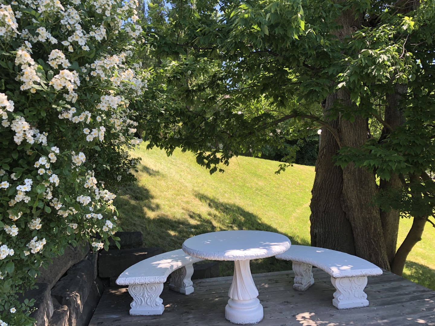 beautiful picnic table.jpg