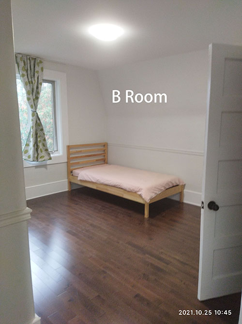 Broom.jpg