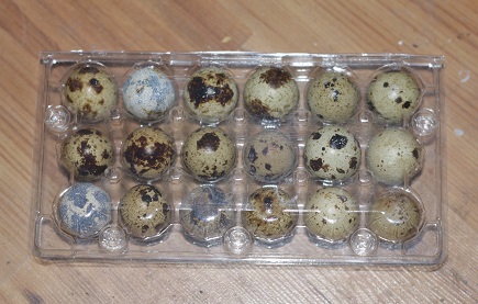 egg in blisters.jpg