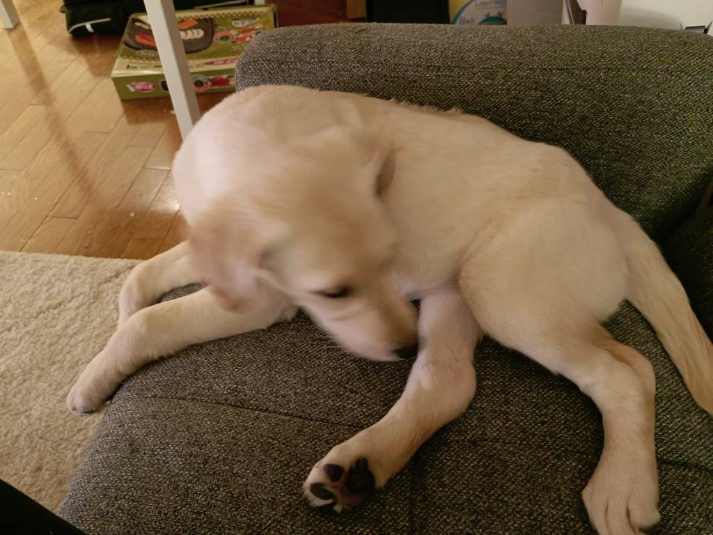 IMG_20220219_215919.jpeg