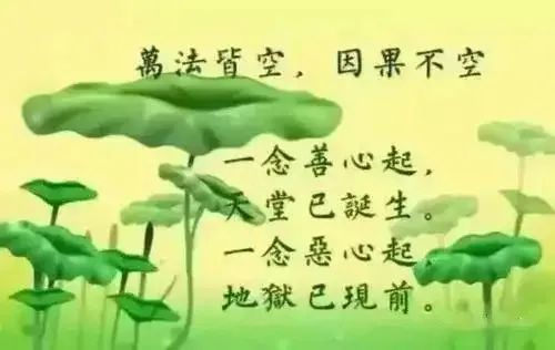 图片11.jpg