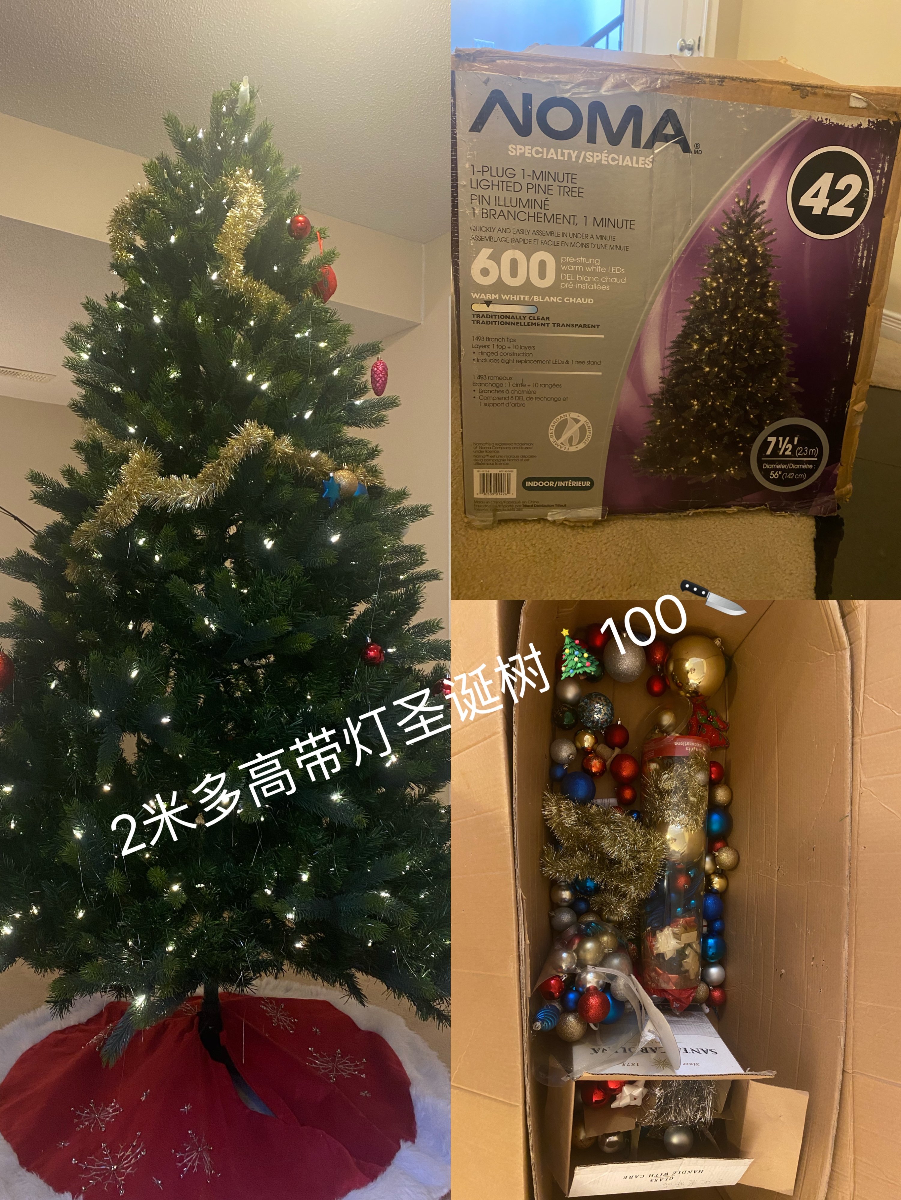 24E3D064-5DF9-4494-8A30-F1CE1965F19F.jpeg