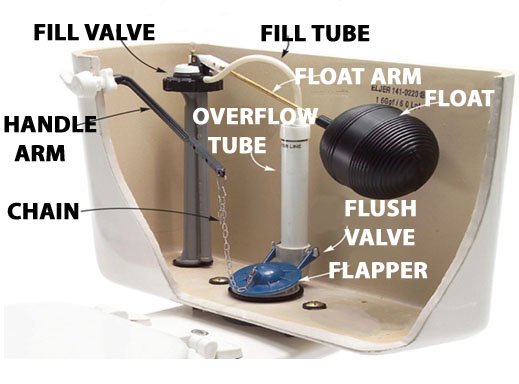 Tank-Toilet-Diagram.jpg