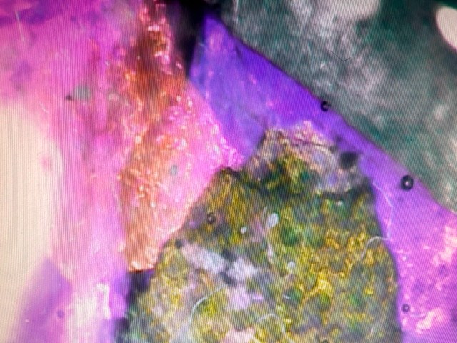 Microscopic view of ammolite piece_2.jpg