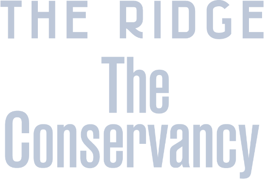 combined-TRBC.png