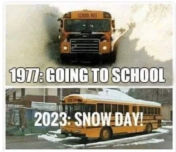 1676146616277.png