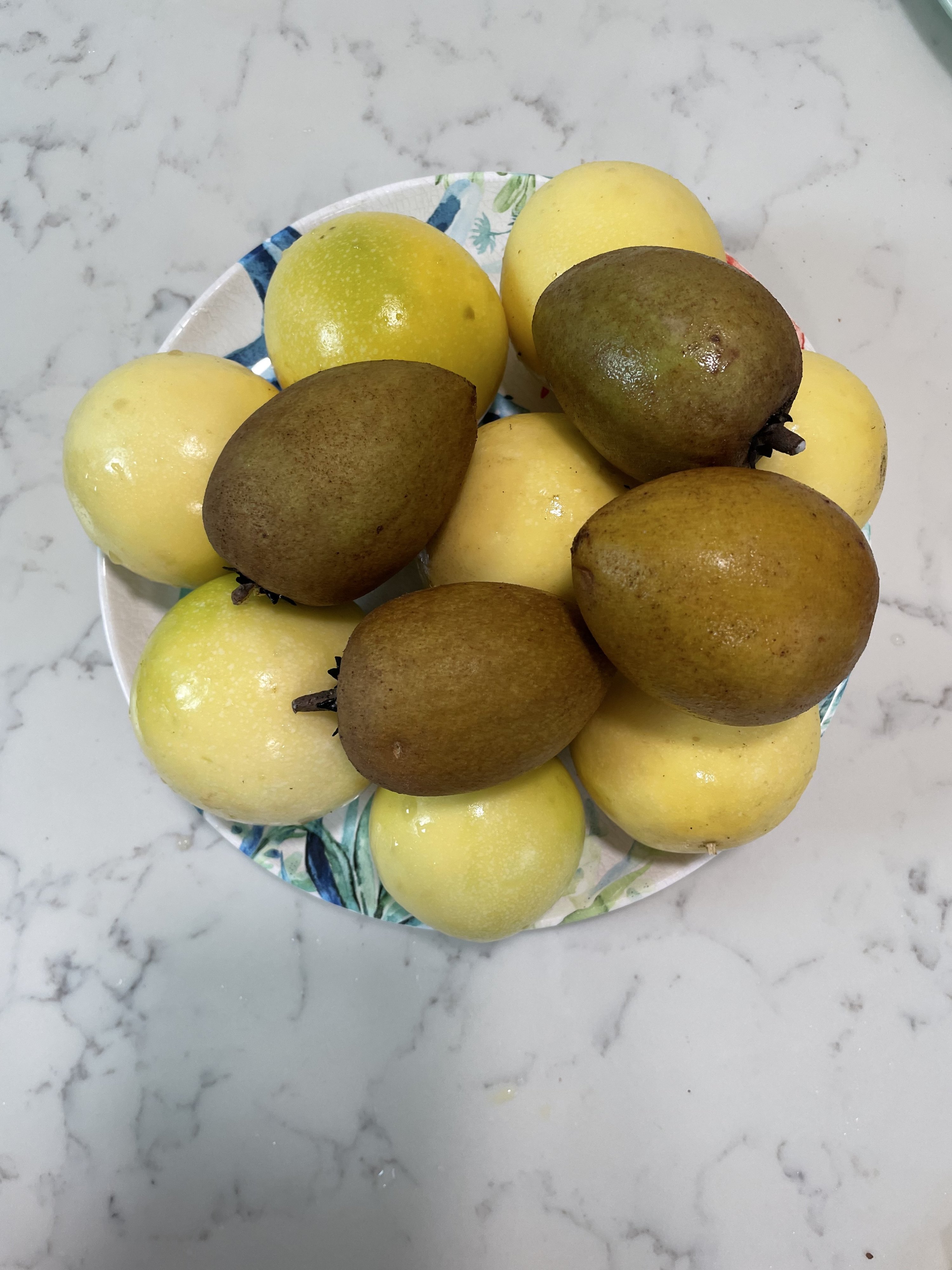 B80E3DDA-2AF7-4B4E-A3D4-463290EA56F5.jpeg