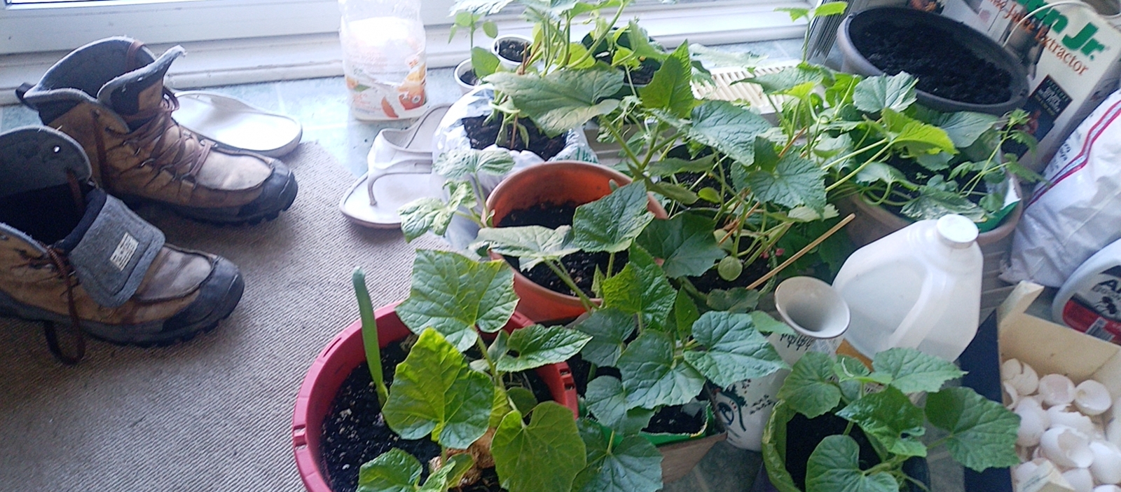 wx_camera_1684411383332.jpg
