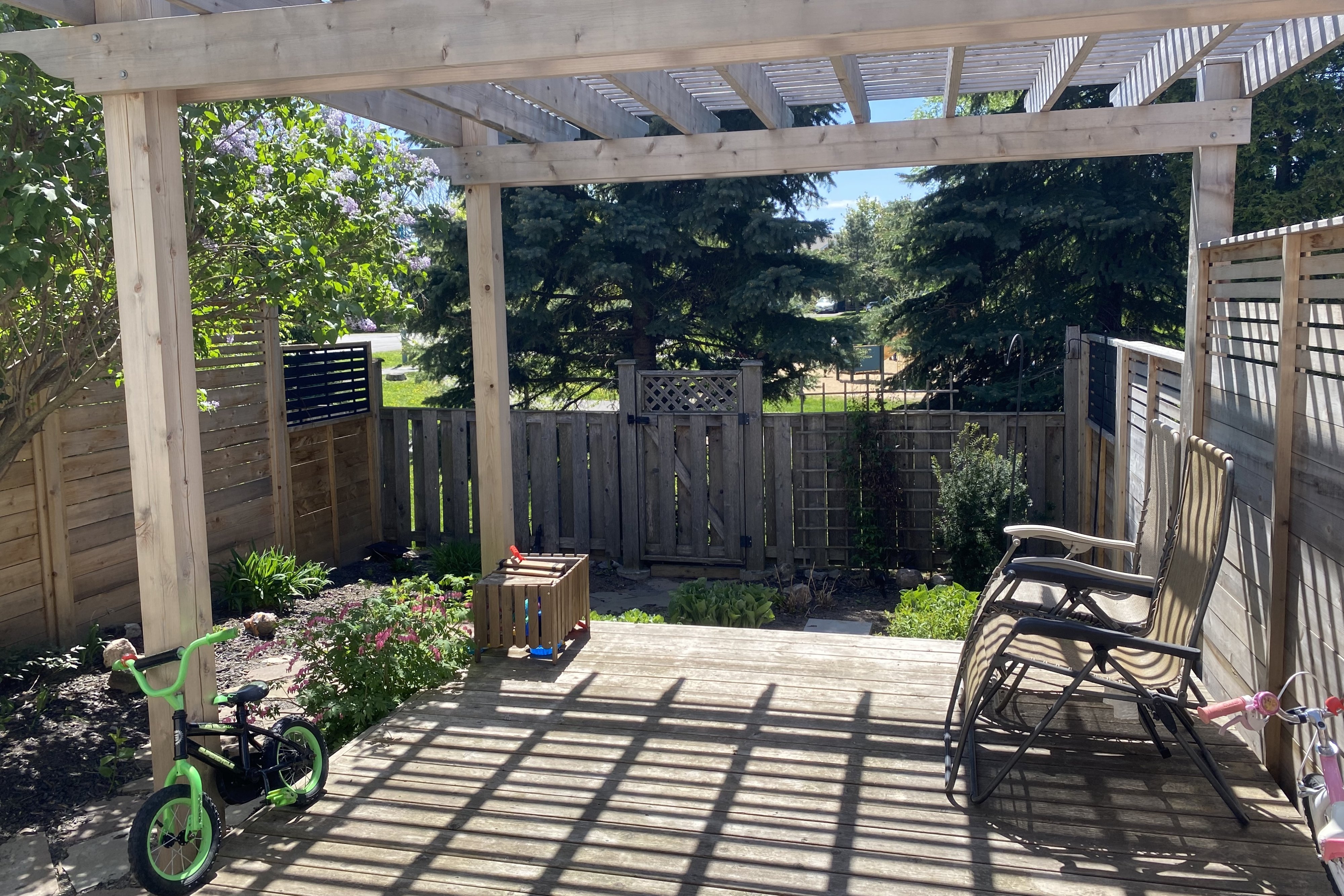 backyard.jpg