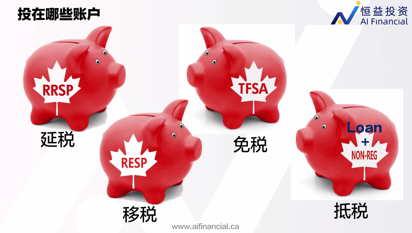 RESP 小猪4.png