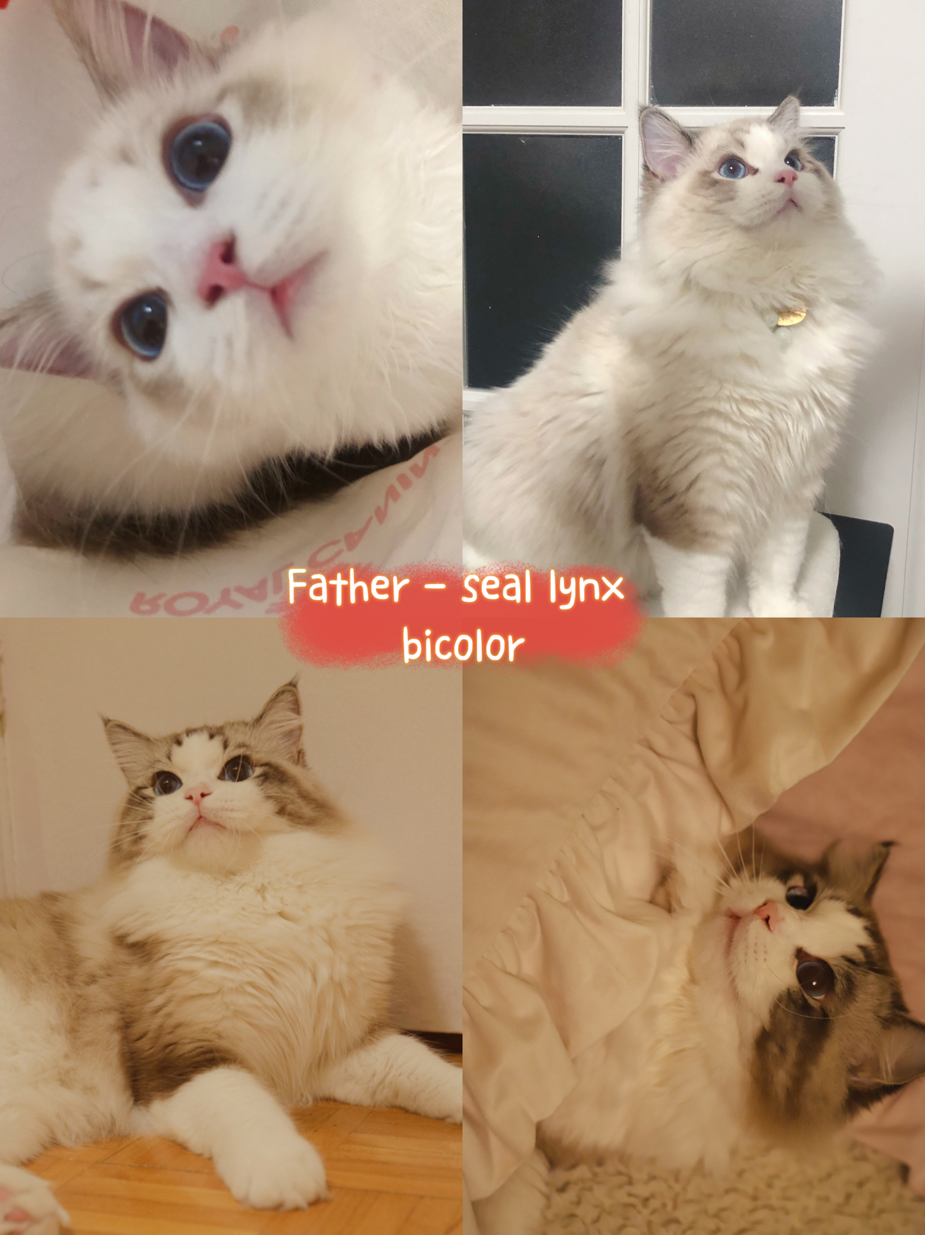 father.jpg