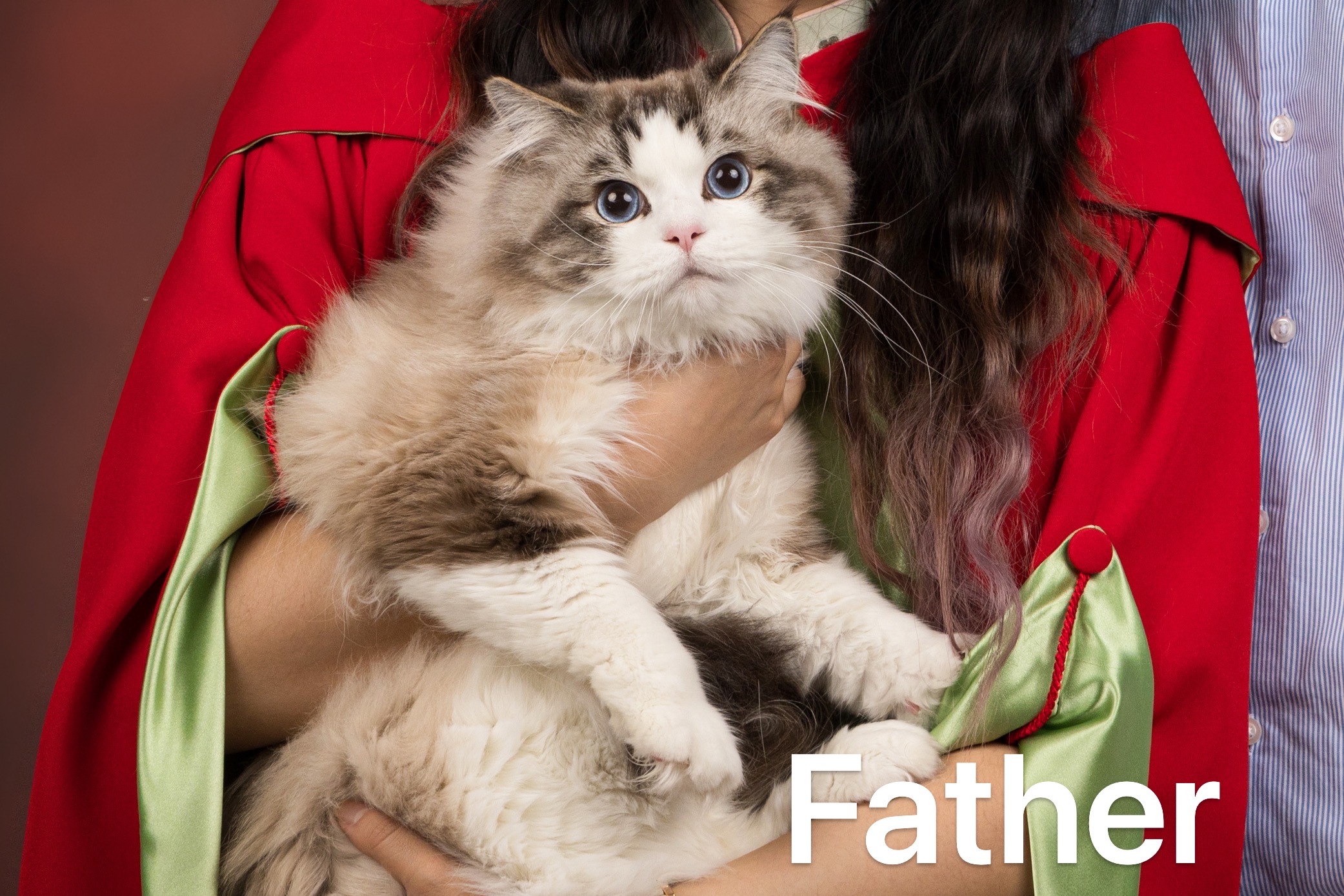 father3.jpg