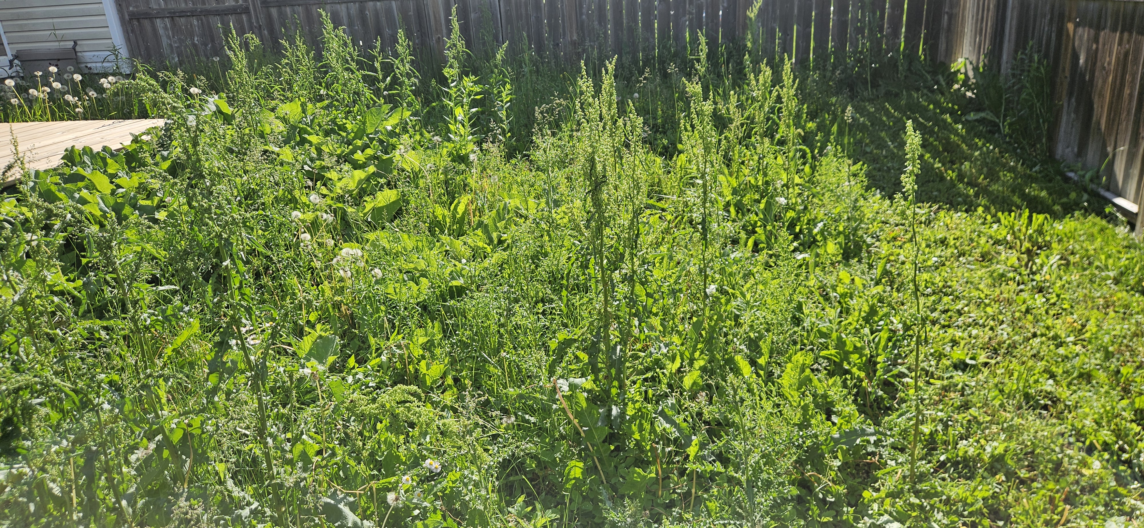 20240604_171812.jpg
