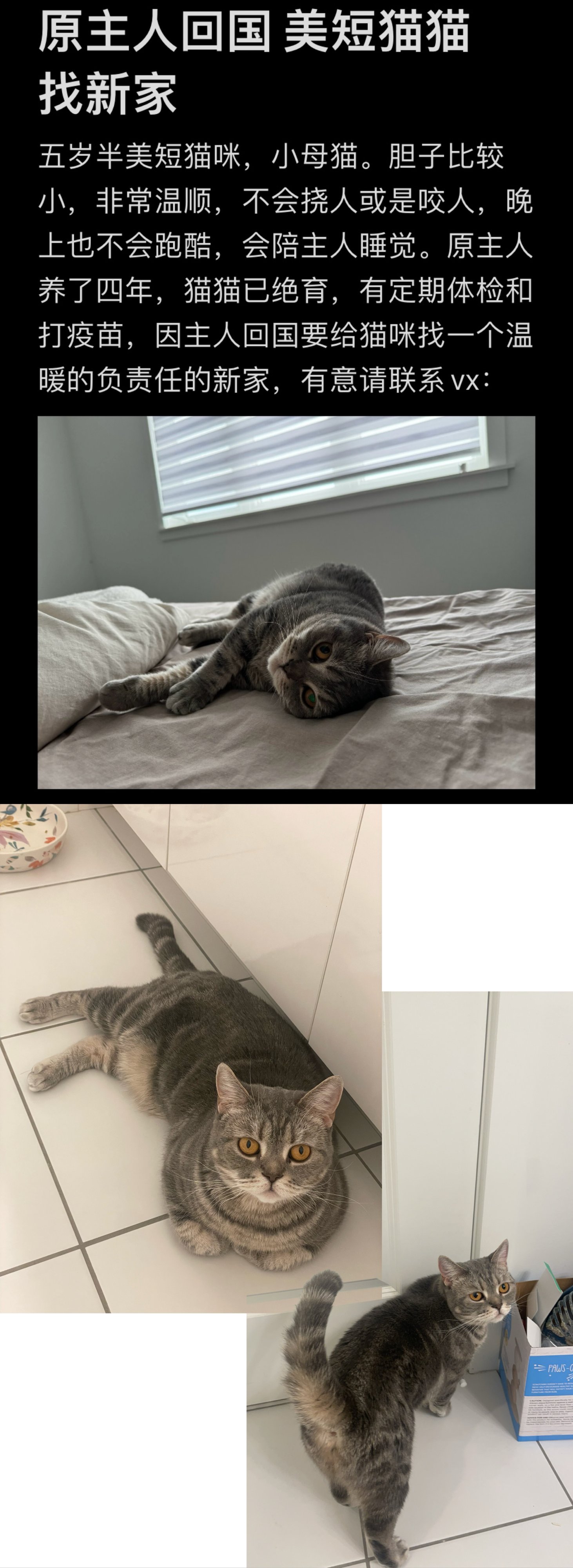 IMG_2258.jpeg
