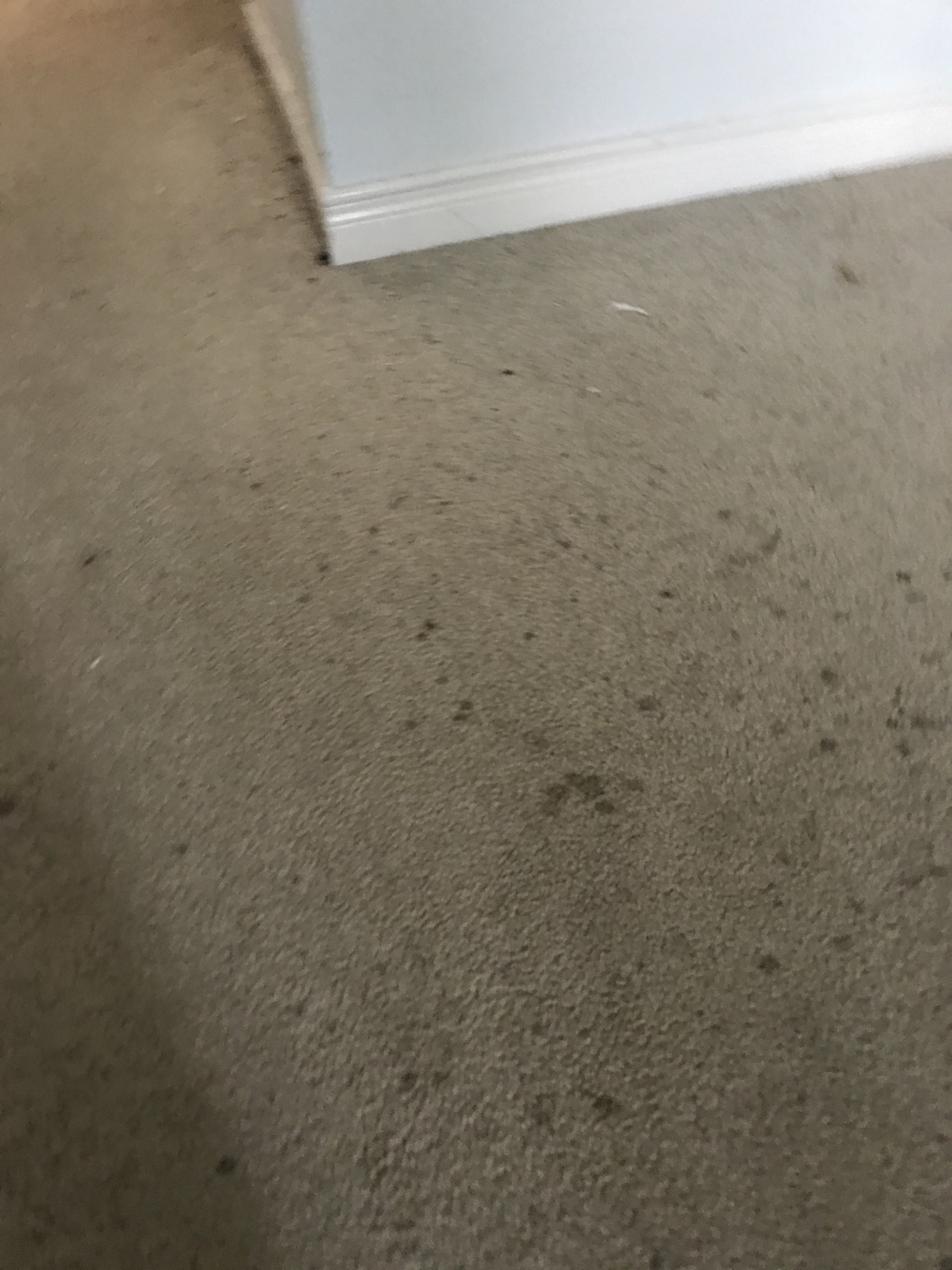 IMG_0834.jpeg