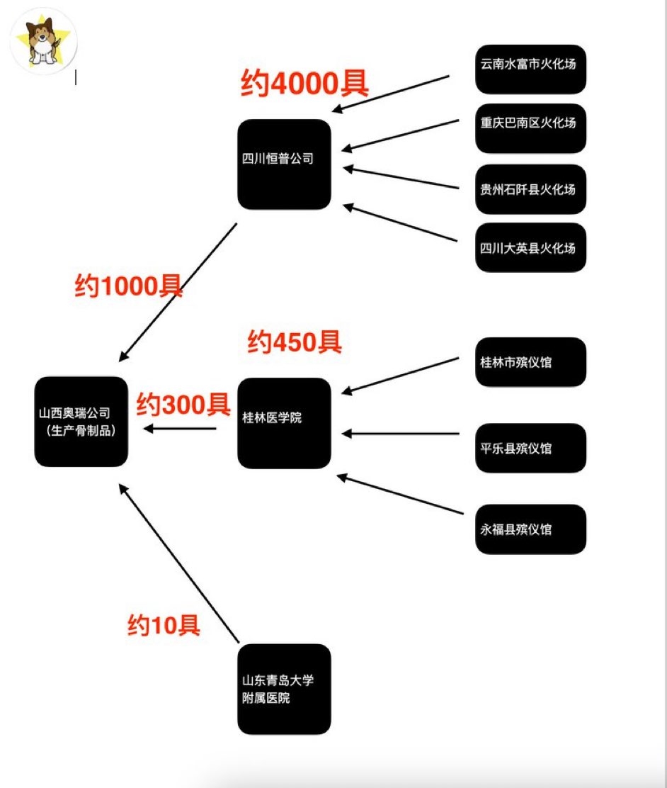 1000003871.jpg