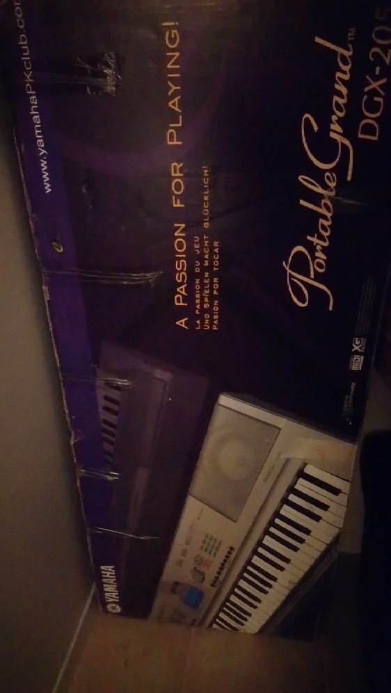 image1 (1).jpeg