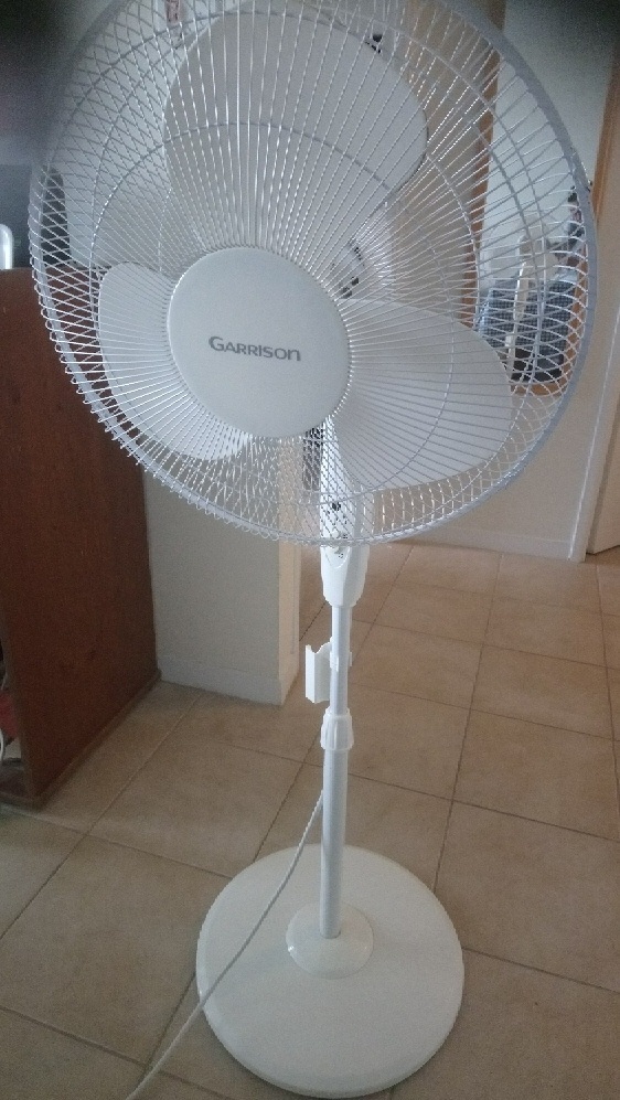 image4 (1).jpeg
