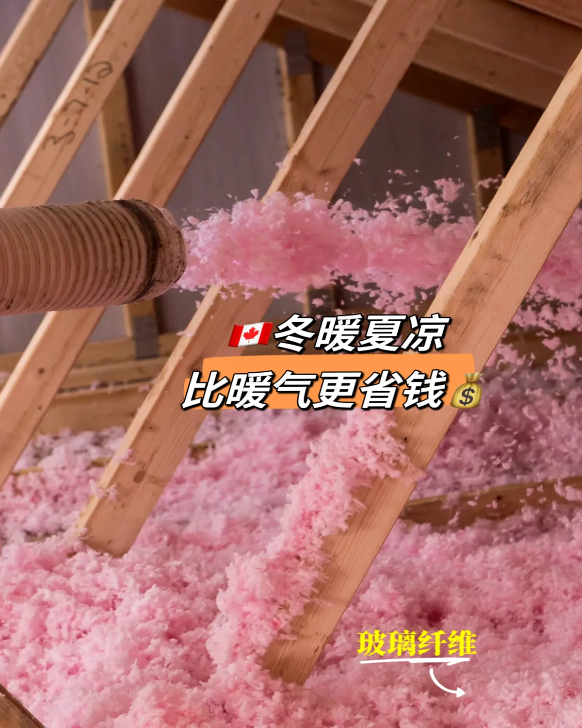 Image_20241117152721.webp