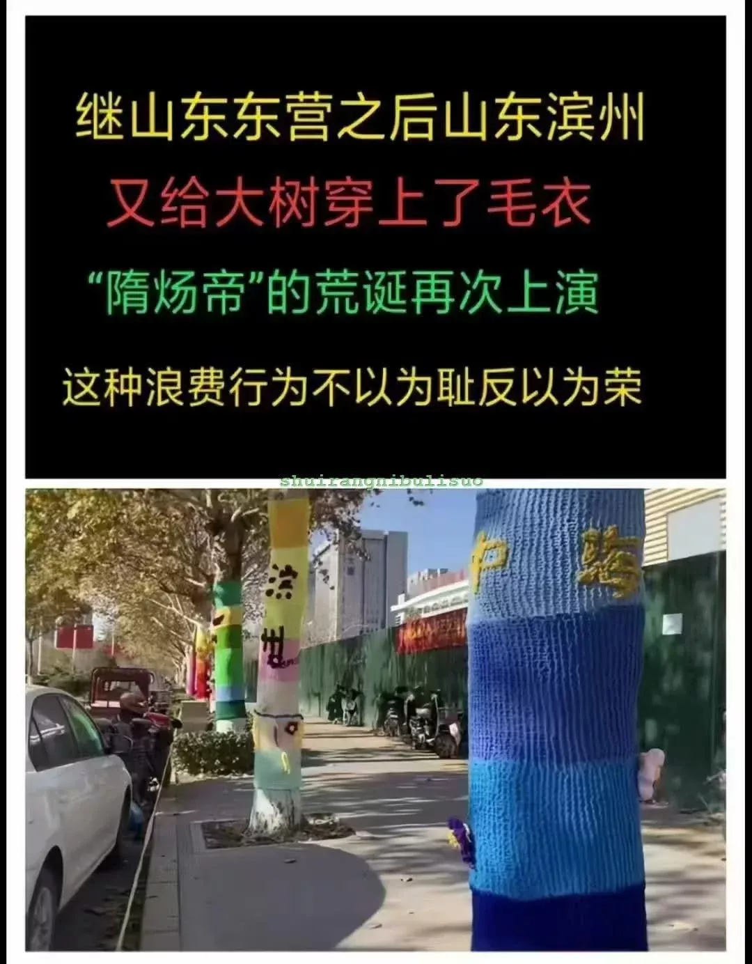 1000004795.webp