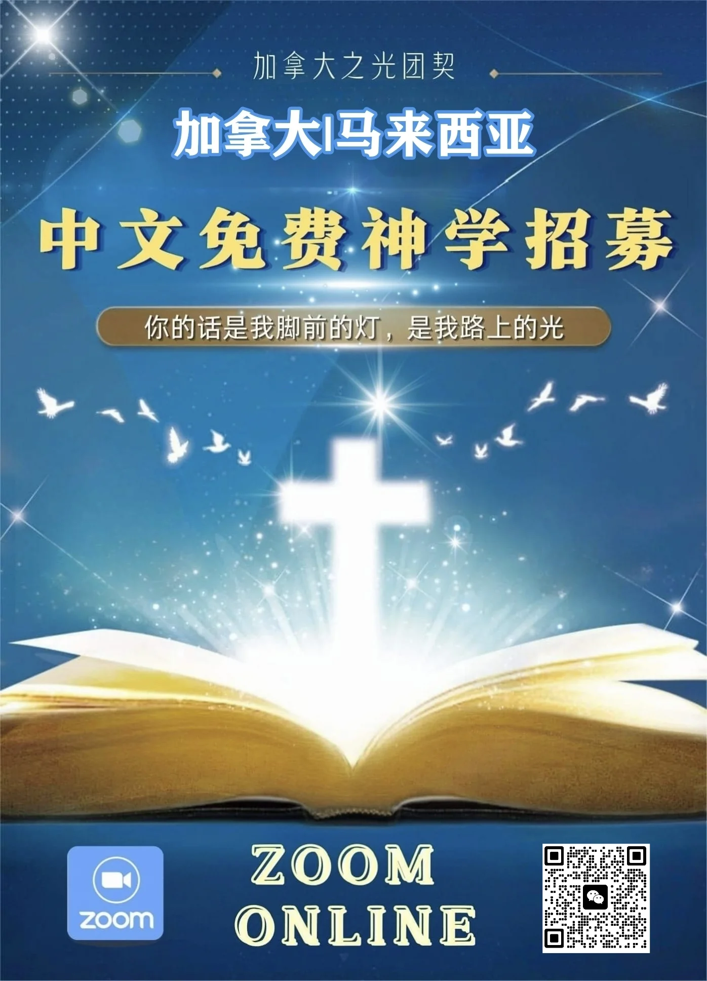 IMG_20241205_115619.webp