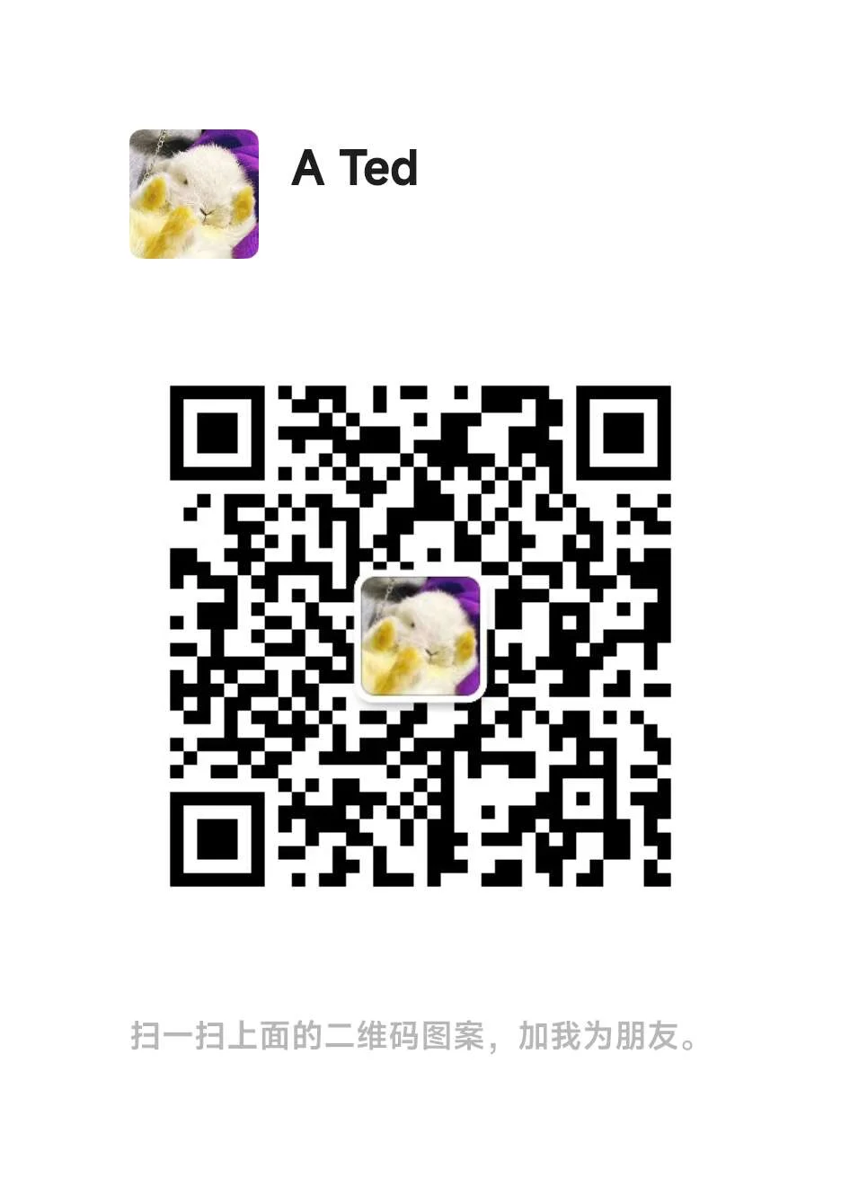 1735763980008.webp