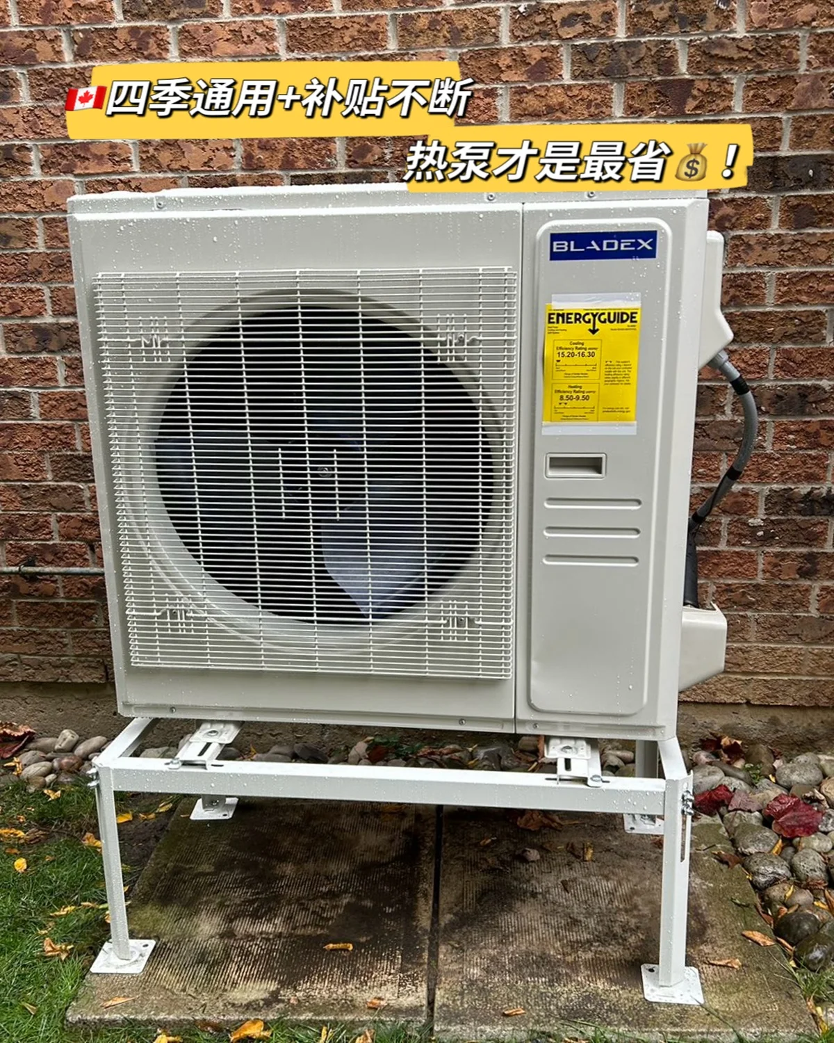 Image_20250104155937.webp