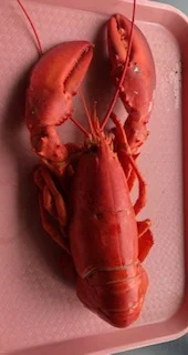 lobster.webp