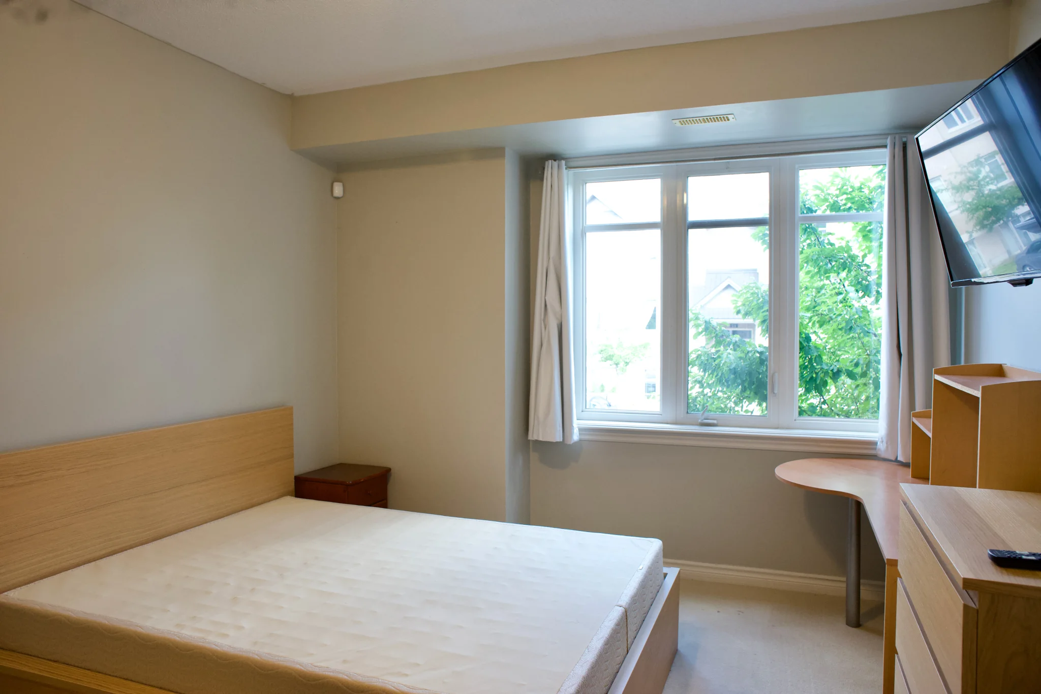 DSC03295.webp