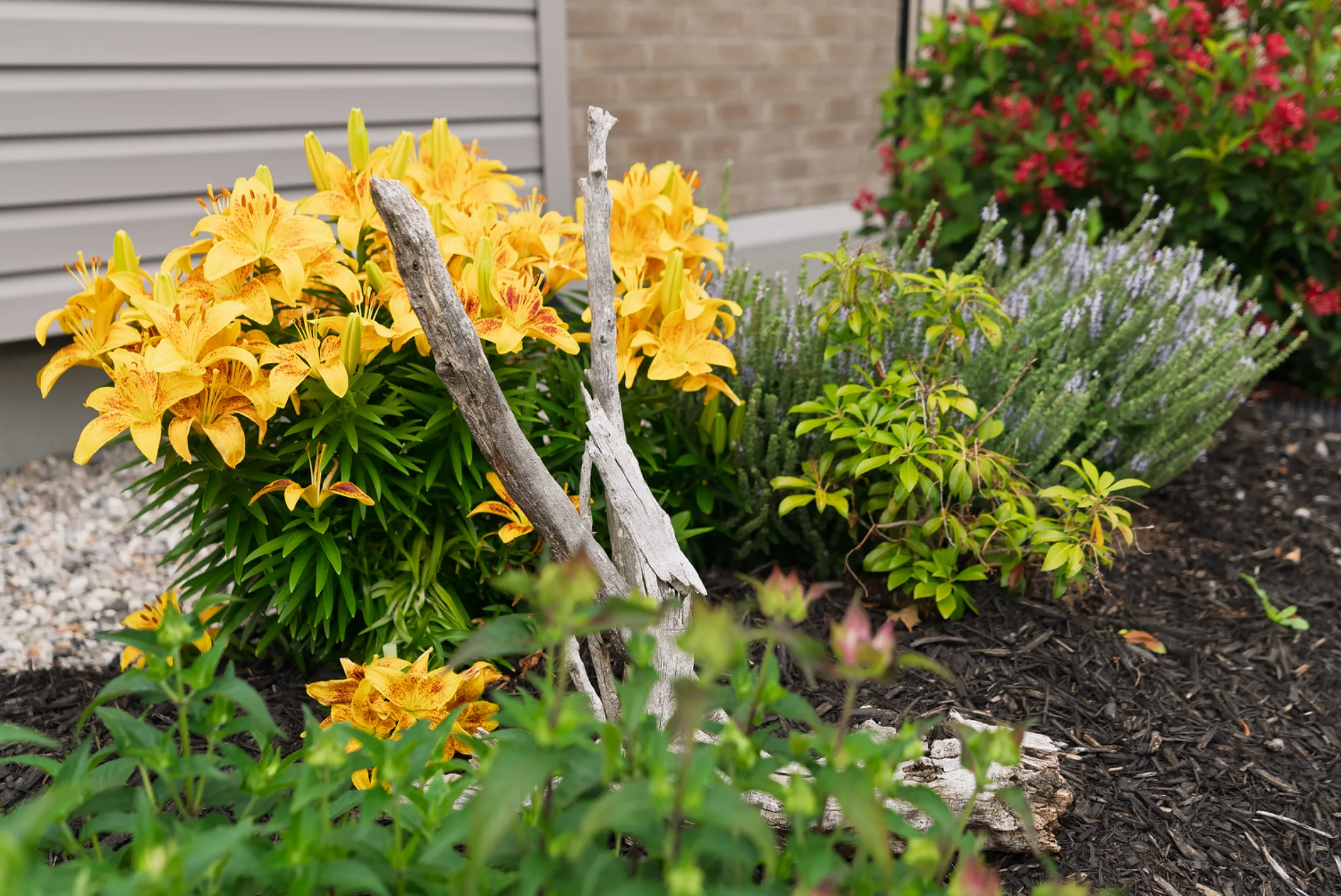 A7S02142.webp