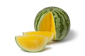1754413566440.webp