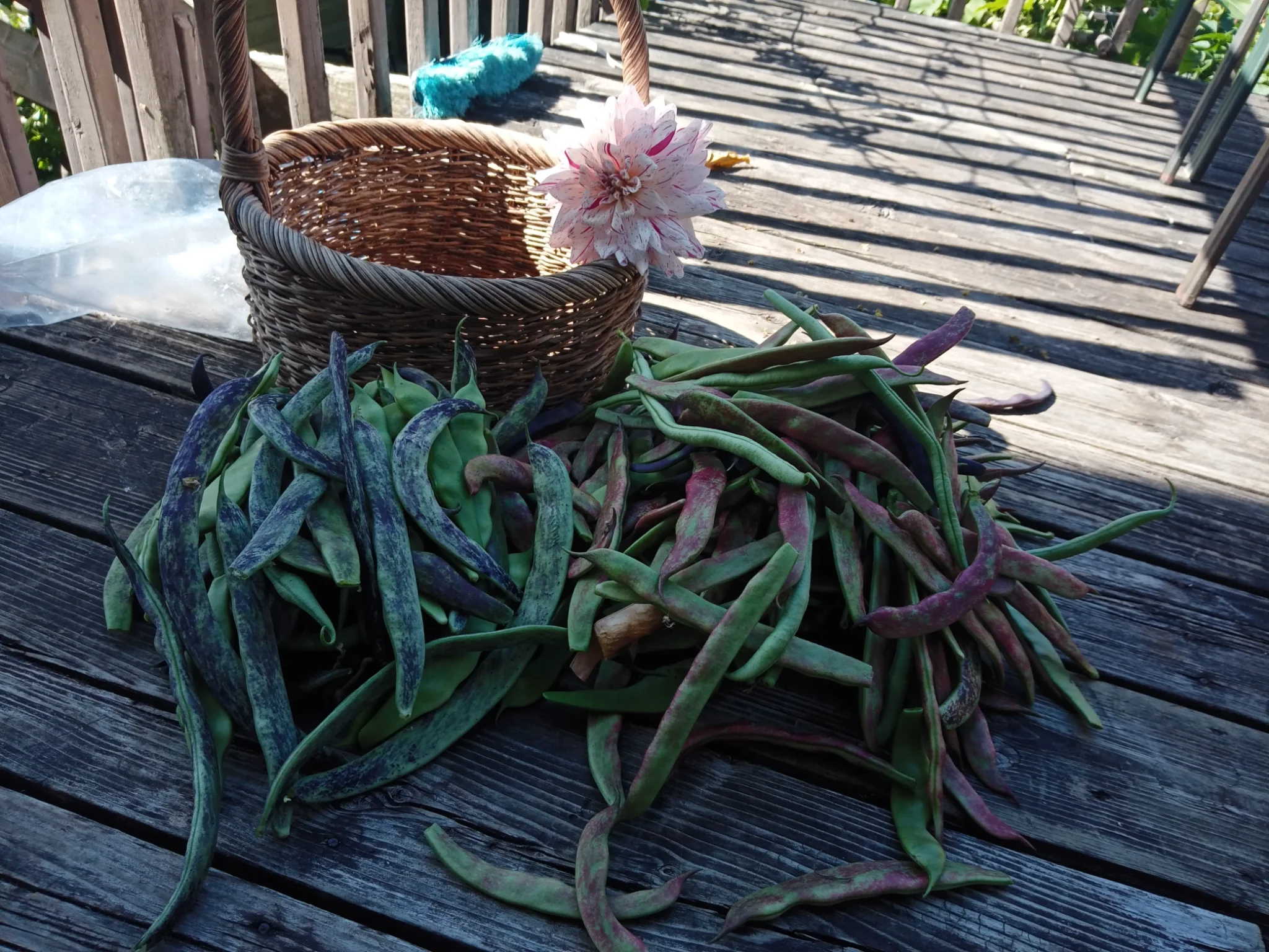 IMG_20251002_120153.webp