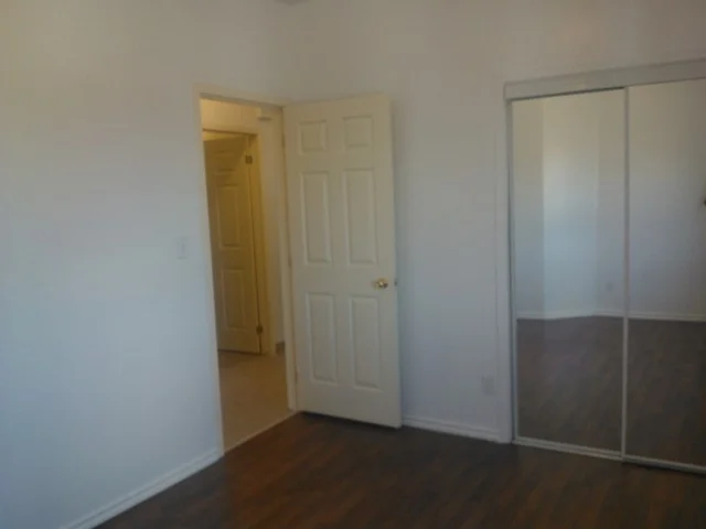 WP_000304.webp