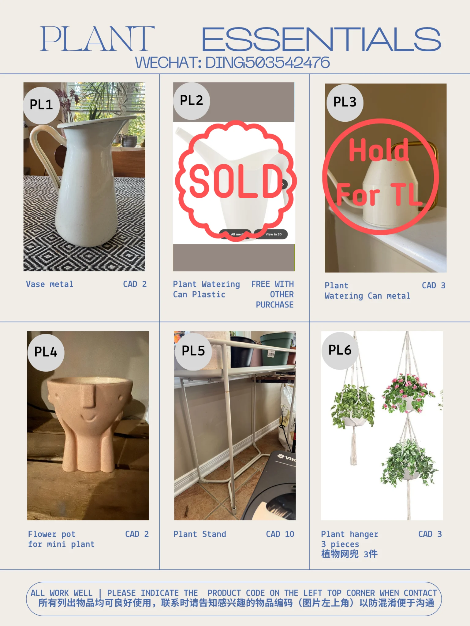 plant 1.webp