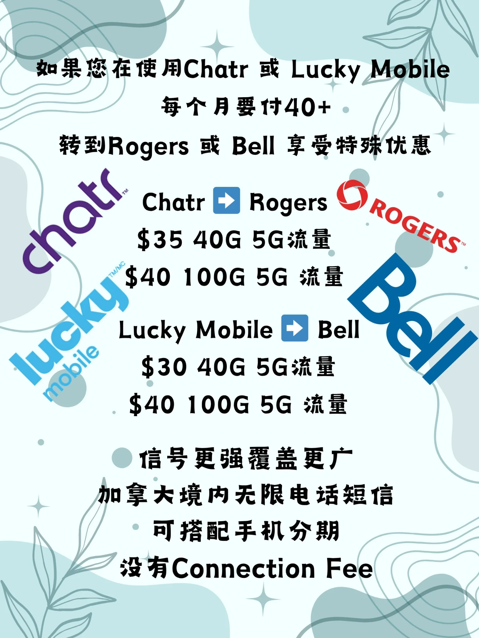 P2P中文.webp