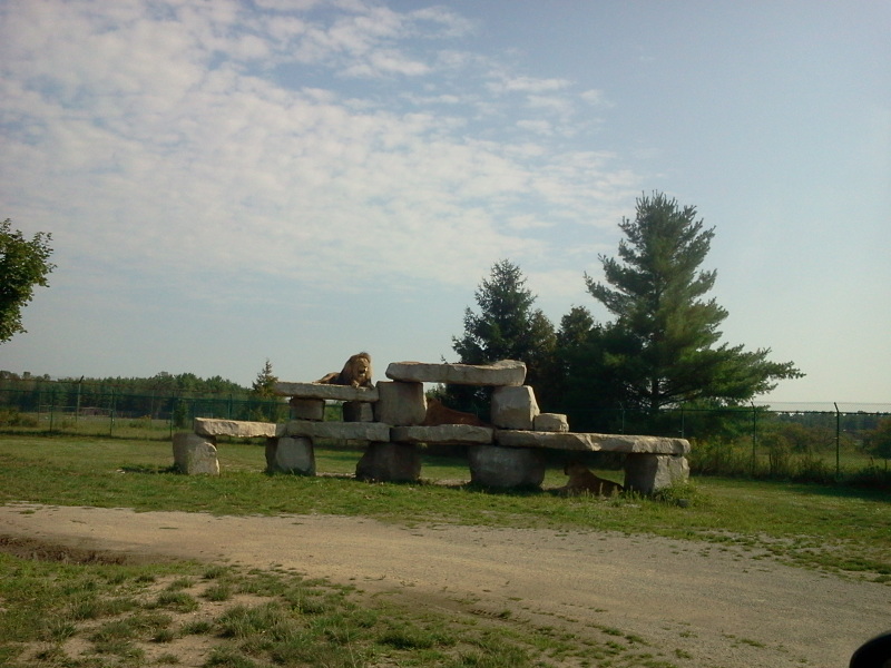 tmp_11230611.jpeg
