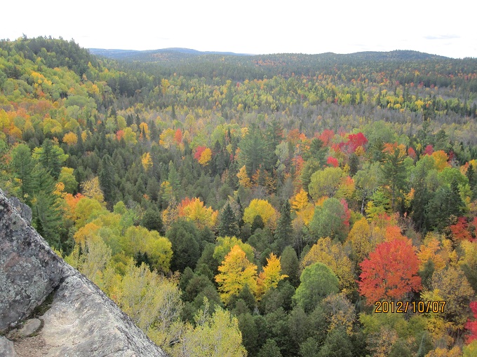 fall-3.jpg