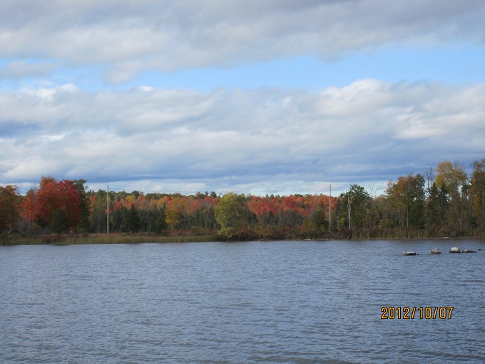 fall-2.jpg