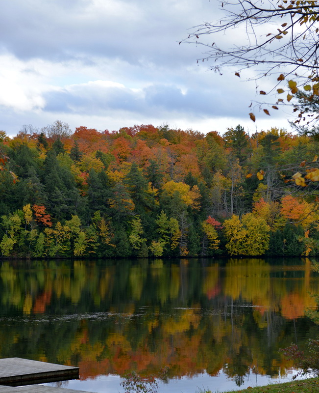 DSC_3482_3_4_2_resize.jpg