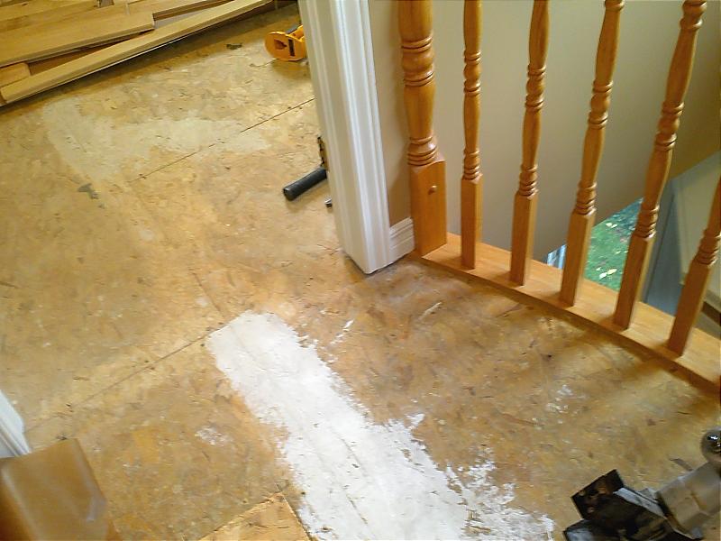 IMG354.jpg