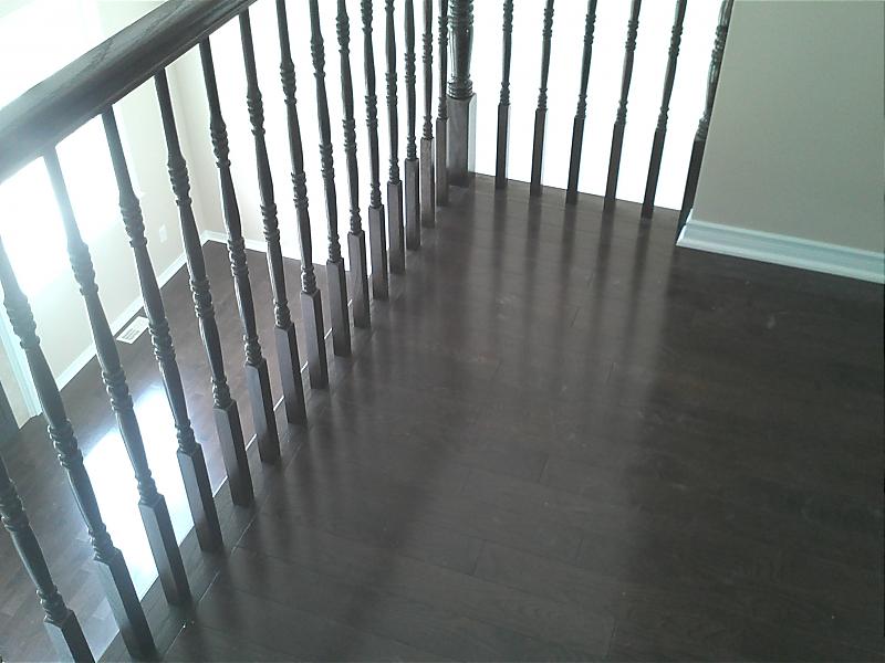 IMG195.jpg