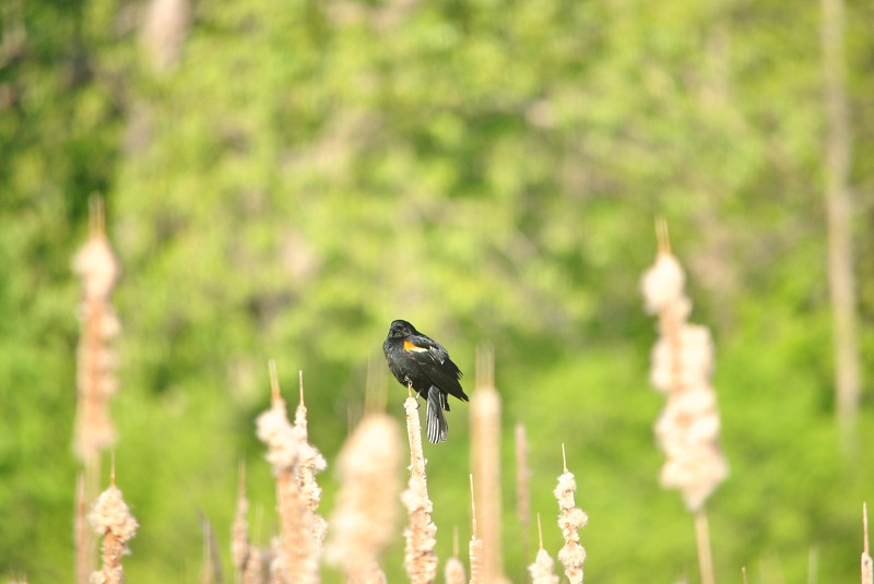 DSC_0285.JPG