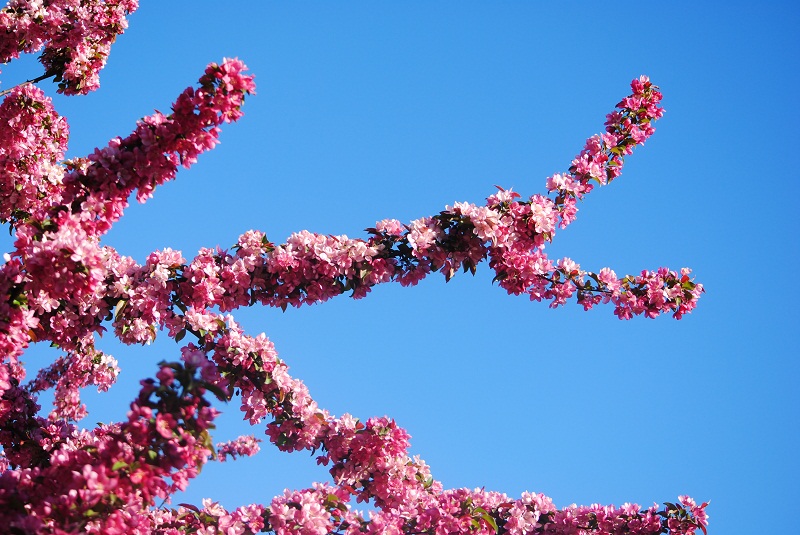 DSC_0317.JPG