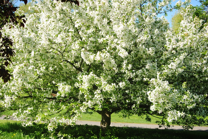 DSC_0342.JPG