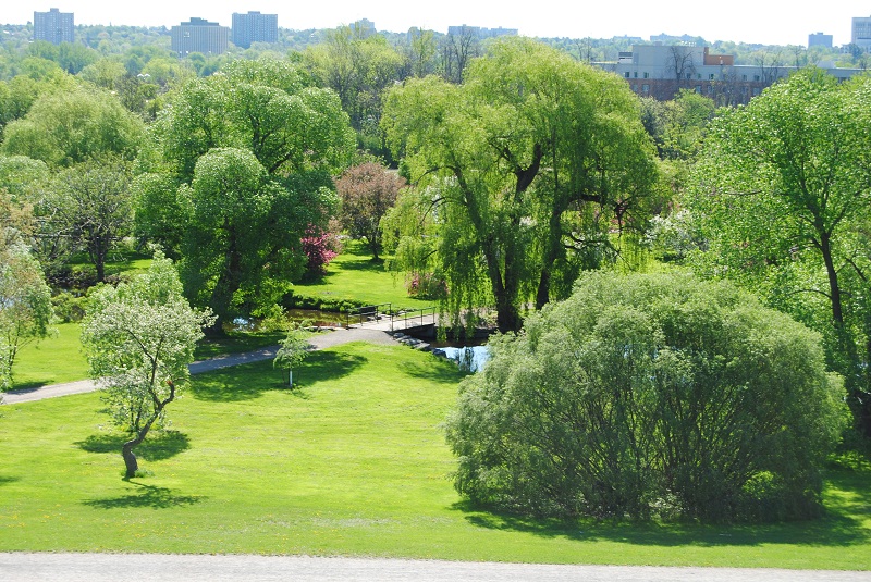 DSC_0329.JPG