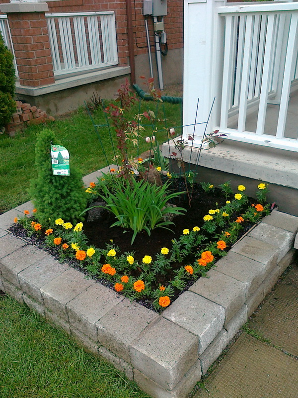 20130519066.jpg