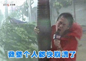 img-ac1cef9f3ff7ee67caa2937c16963cb6.gif