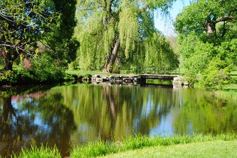 DSC_0365.JPG