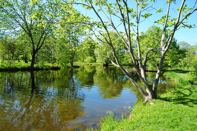 DSC_0382.JPG