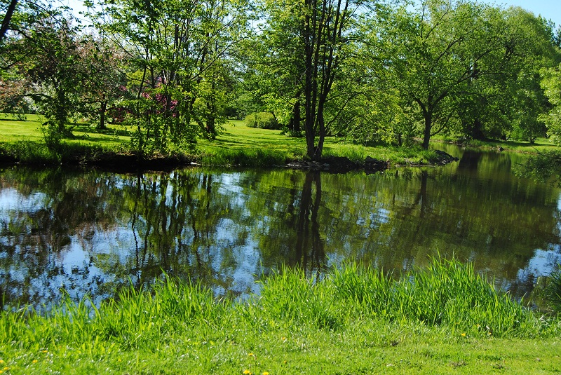 DSC_0383.JPG